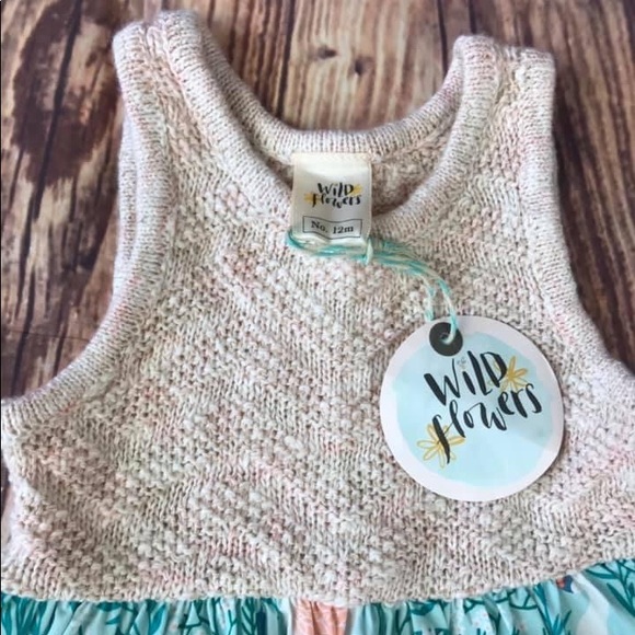 Wildflowers Clothing Dresses Wildflowers Clothing Swan Lake Ballet Dress Poshmark